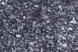 labrador_bleu